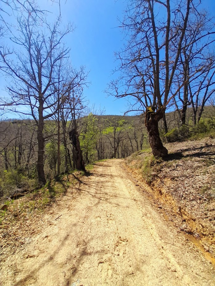 Camino Vía Verde